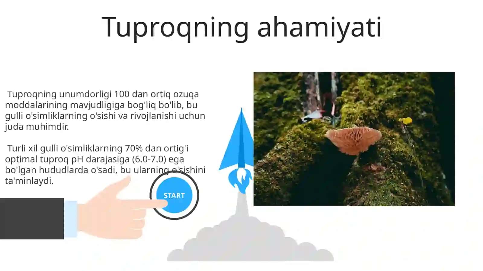 Gulli oʻsimliklarning xilma xilligi va tarqalishi 3