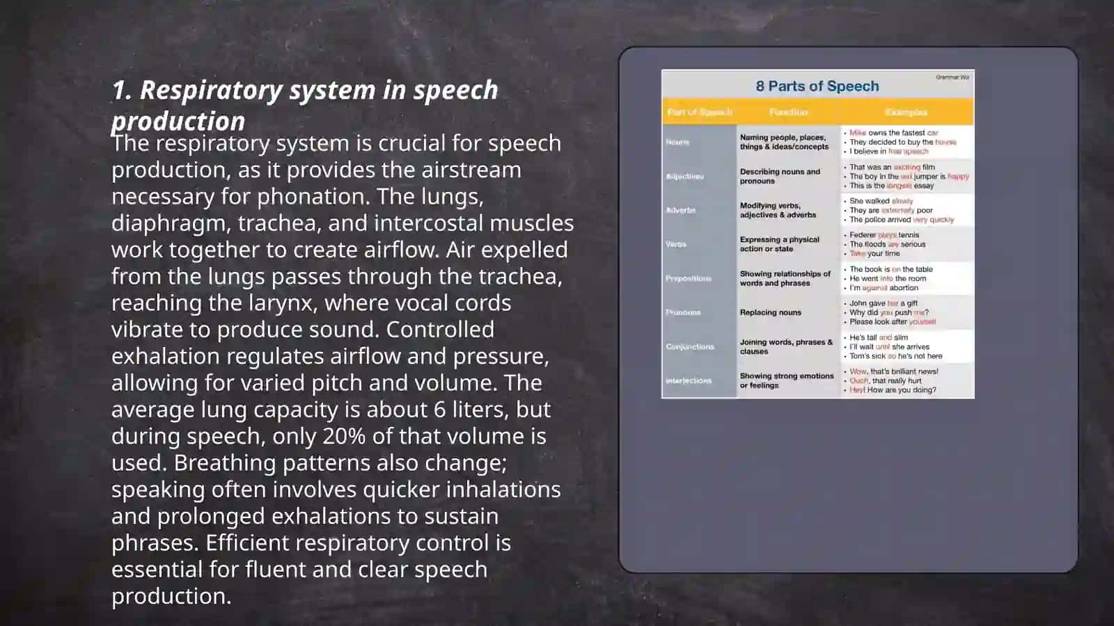 Speech organs and their functions 3