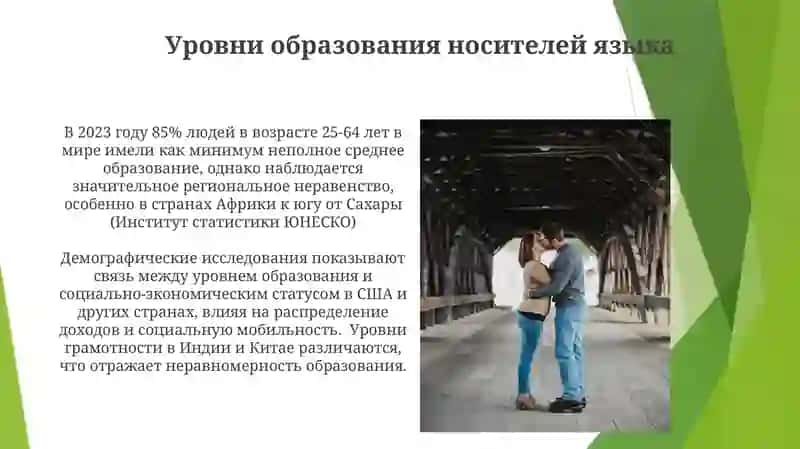Носитель языка в демографической структуре 3