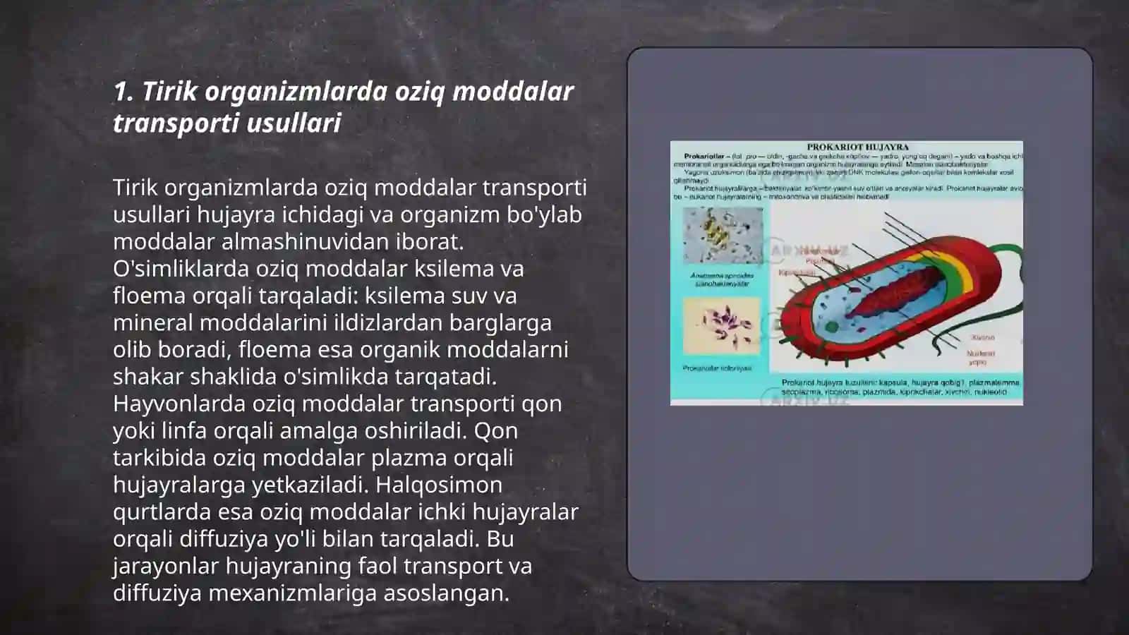 Tirik Organizmlarda oziq moddalar transporti 3