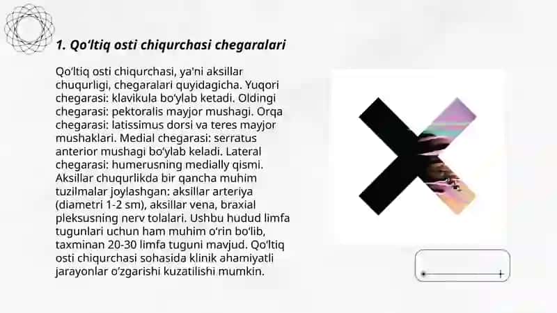 Qoʻltiq osti chiqurchasi chegarasi va xususiyatlari 3