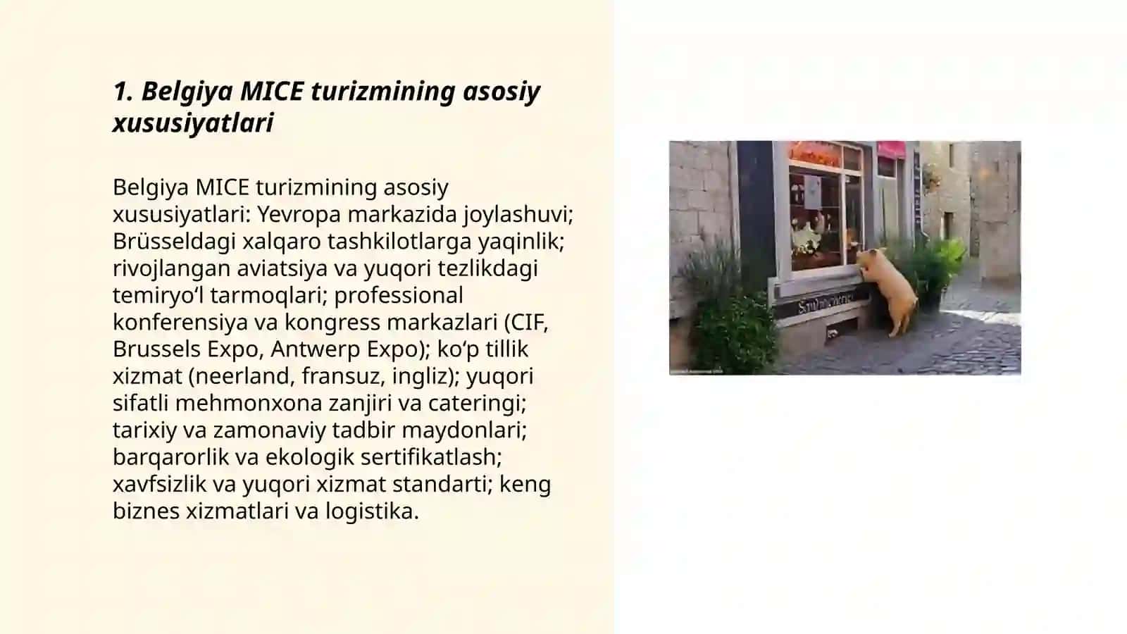 Belgiya MICE turizmi 3