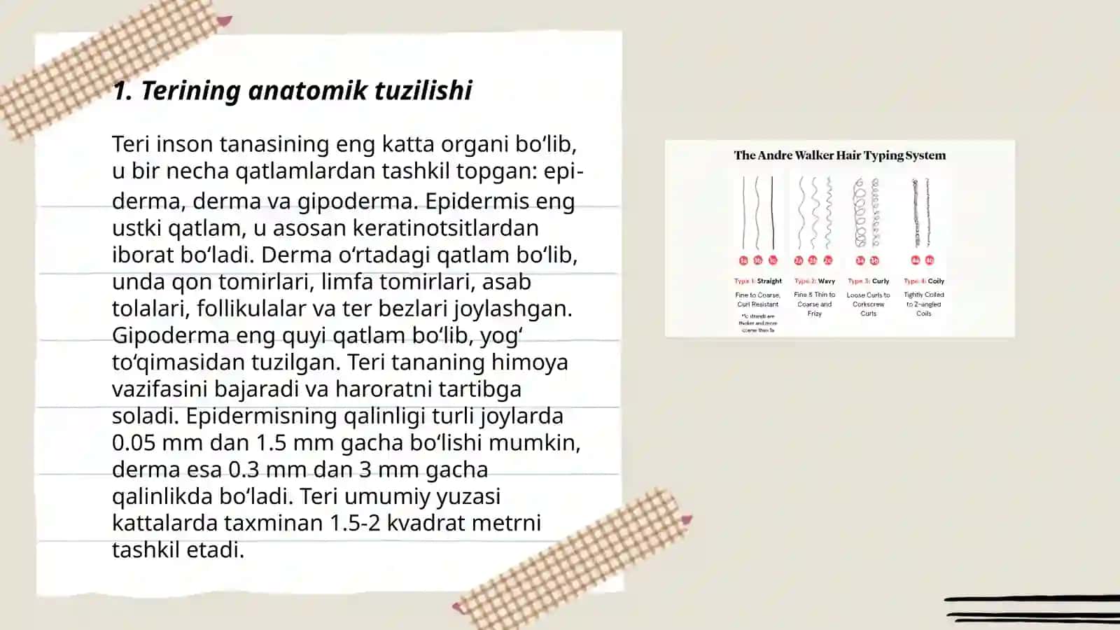 Teri va soch tuzulishi. Epidermis va derma qavatlar 3