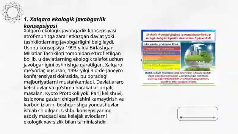 Xalqaro ekologik javobgarlik konsepsiyasi 3