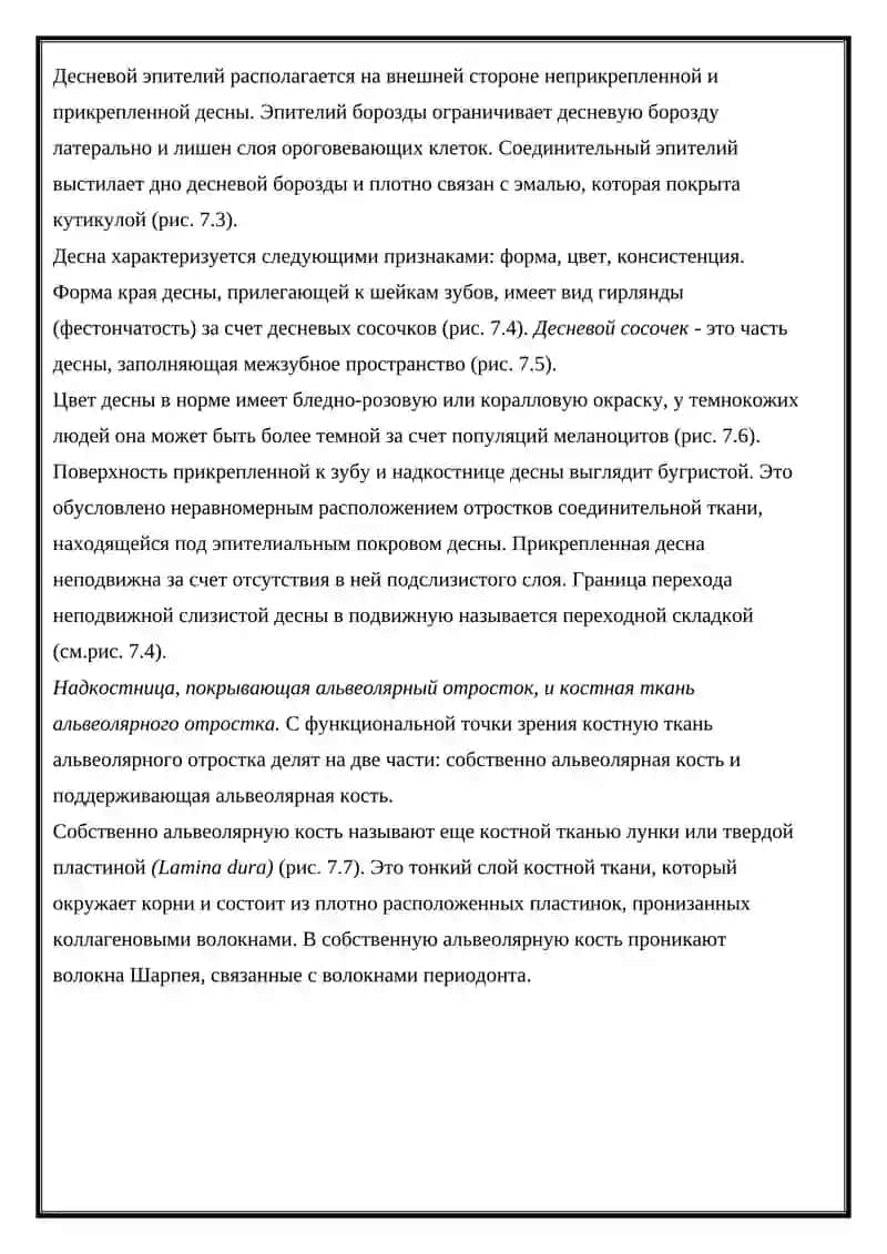 Анатомия, гистология, эмбриогенез зубов 3