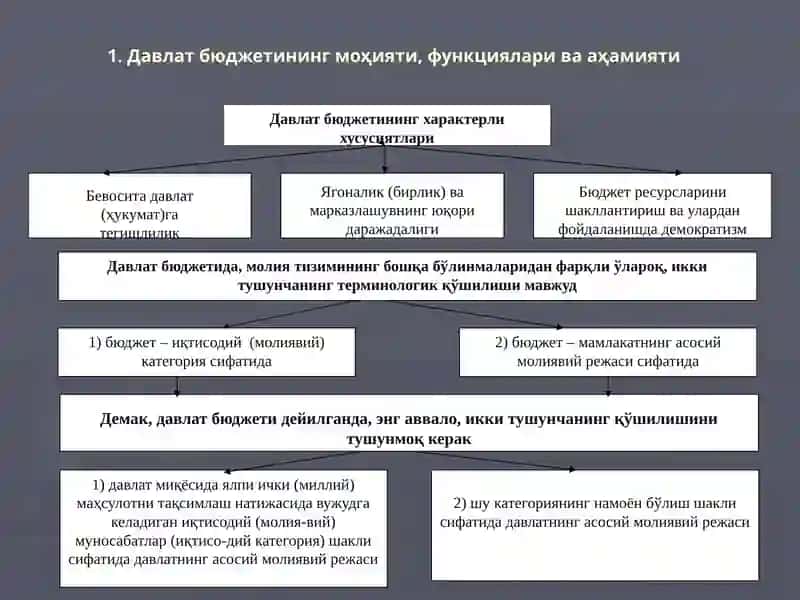 ДАВЛАТ БЮДЖЕТИ 3