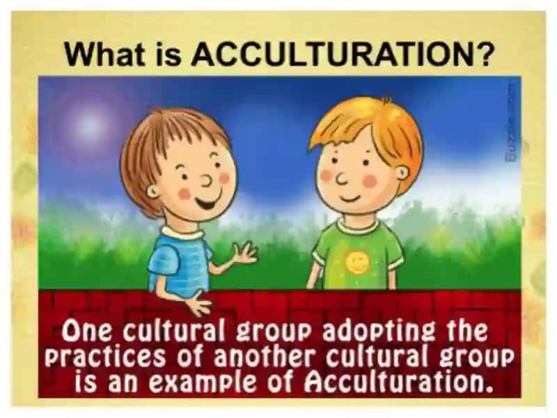 Acculturation and enculturation 3