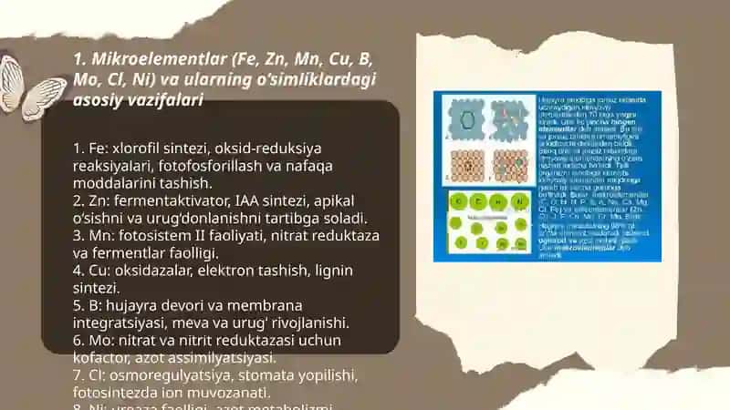 Mikro elementlar va ularning qishloqxo‘jaligidagi ahamiyati 3