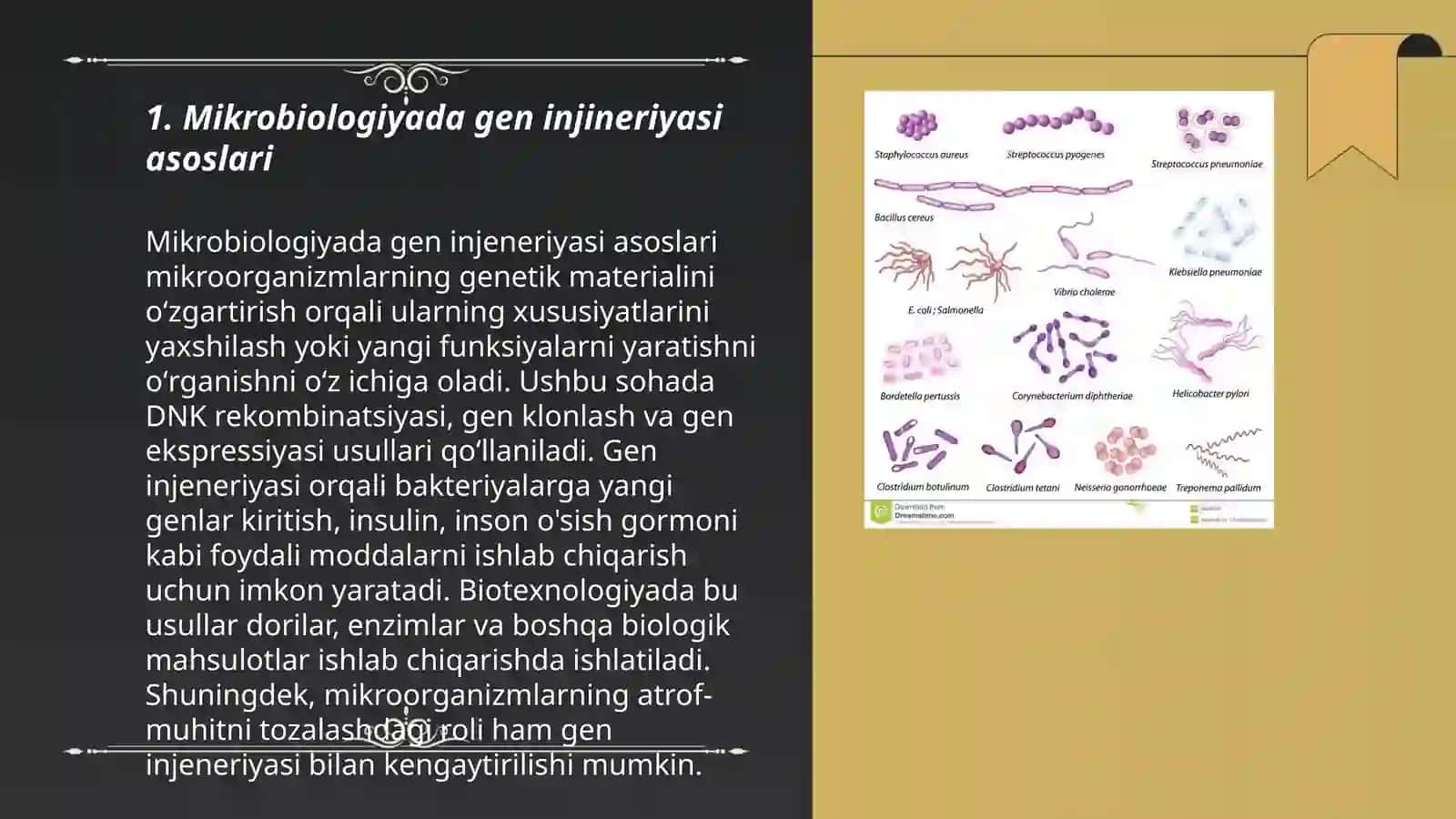 Mikroorganizmlerde gen injineriyasi 3