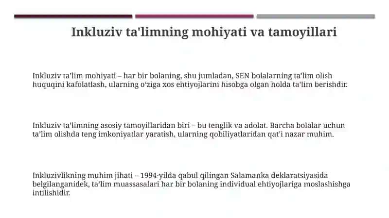 Alohida ta'lim ehtiyojlariga ega bolalarni inklyuziv ta'lim va tarbiyalash konsepsiyasi 3