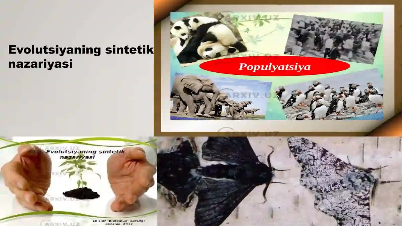 Organik olamdagi moslanishlar – evolutsiya natijasi 3