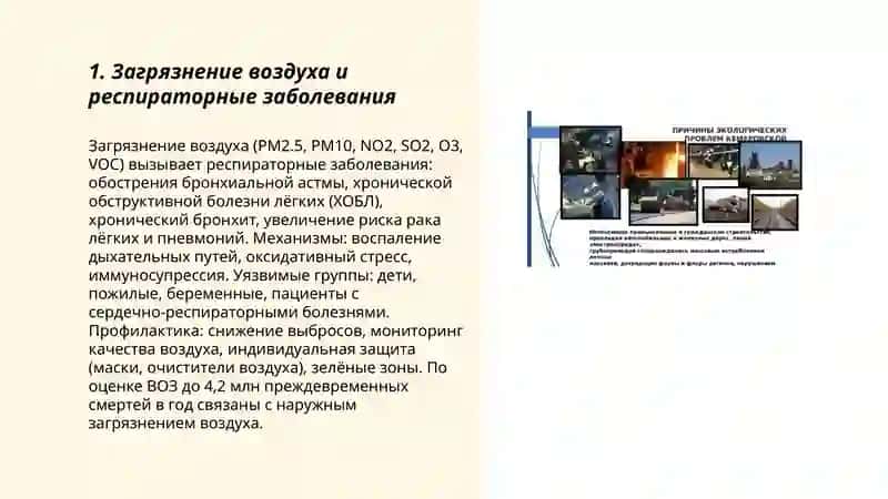 Загрязнение воздуха и респираторные заболевания 3