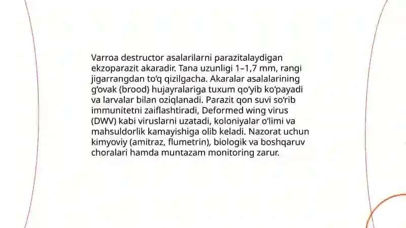 Varroa destructor akarasi: biologiyasi va asalarilarga ta'siri 3