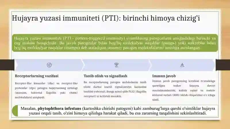 O’simliklarda hosil bo’ladigan immun tizimi: fiziologiyasi va ta’siri 3