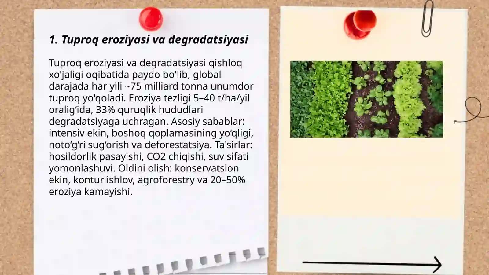 Qishloq xo'jaligining ekologiyaga ta'siri 3