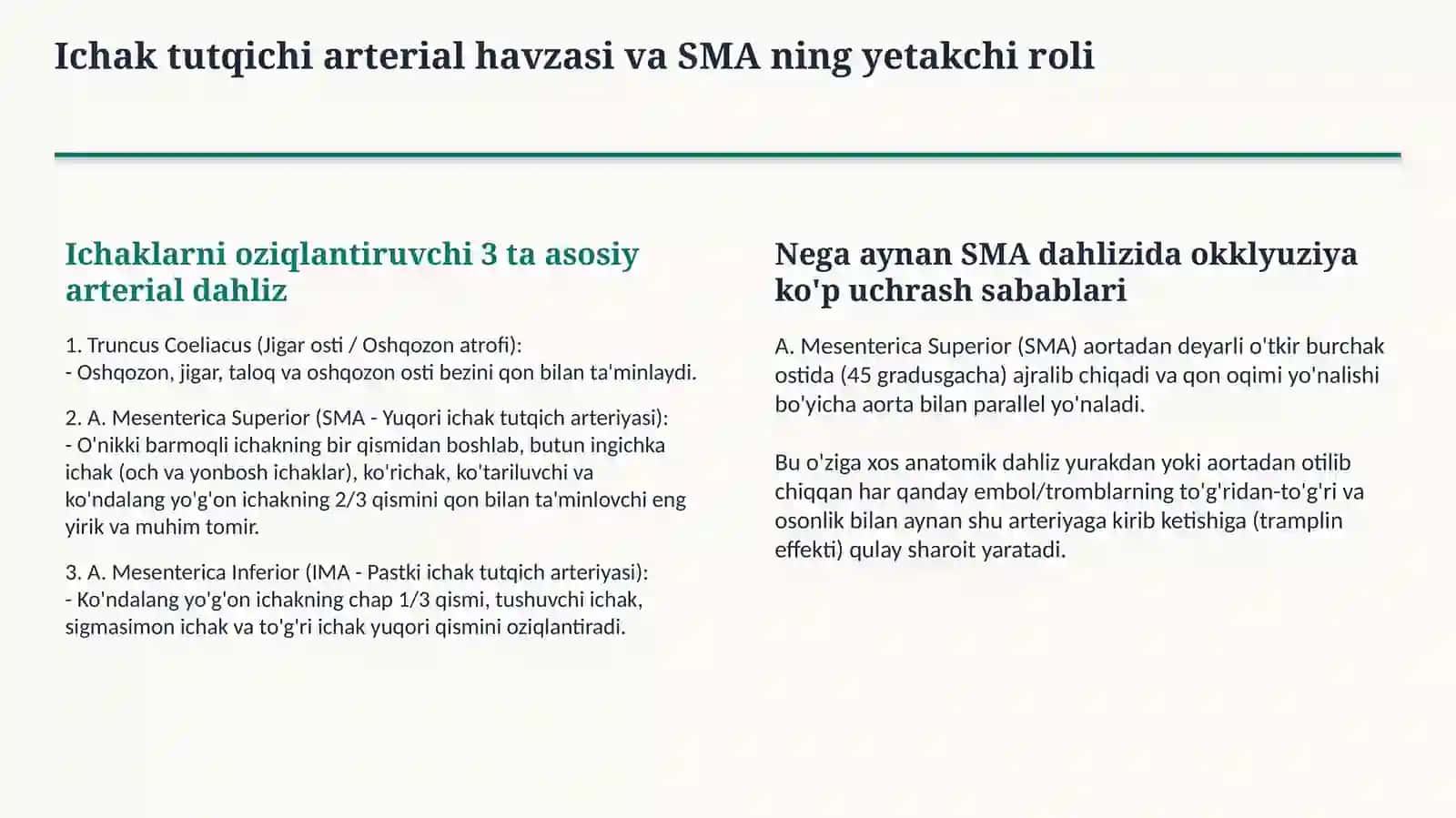 Mezenterial tromboz — 15 slaydli professional tibbiy taqdimot | Qorin bo‘shlig‘i jarrohligi 3