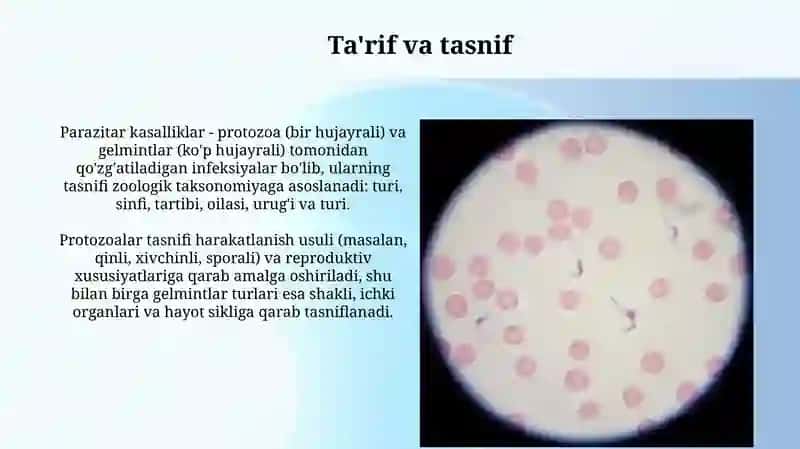 Parazitozlar (sodda jonivorlar va gelmintlar) 3