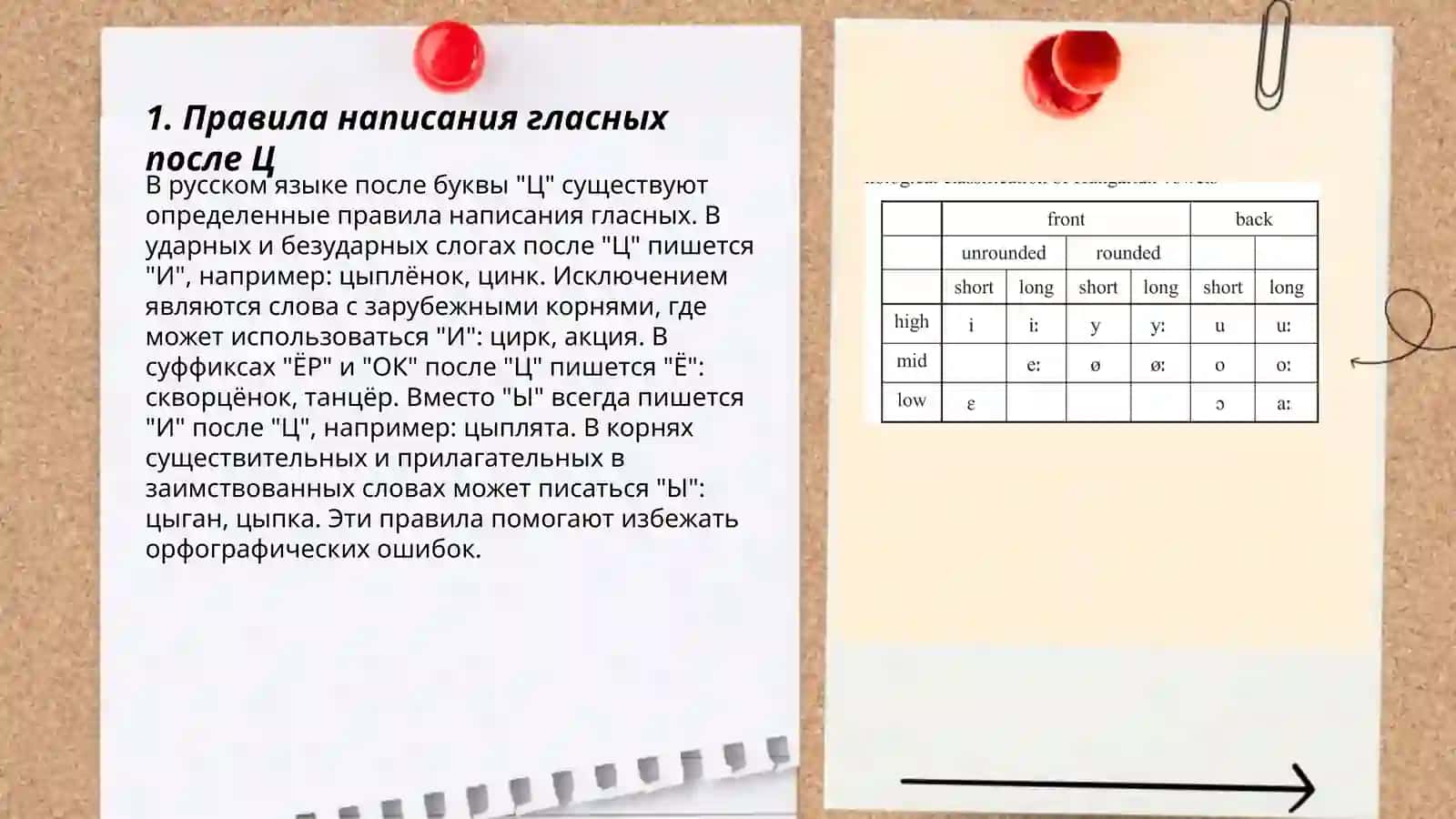 Гласные после Ц 3