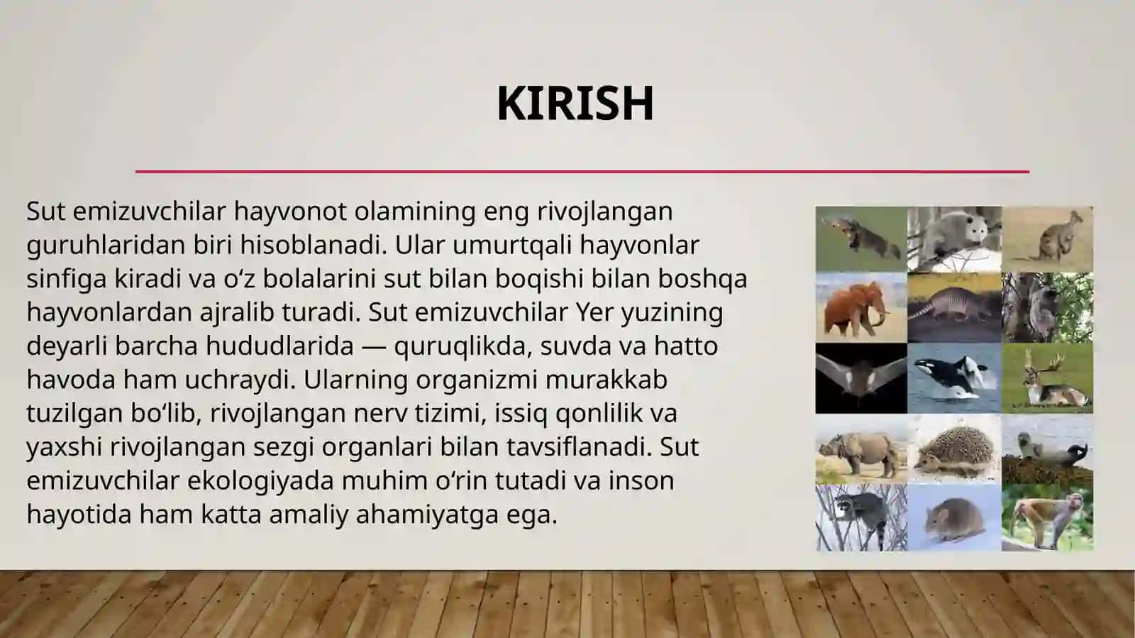 Sut emizuvchilar ekologiyasi, evolyutsiyasi va amaliy ahamiyati 3