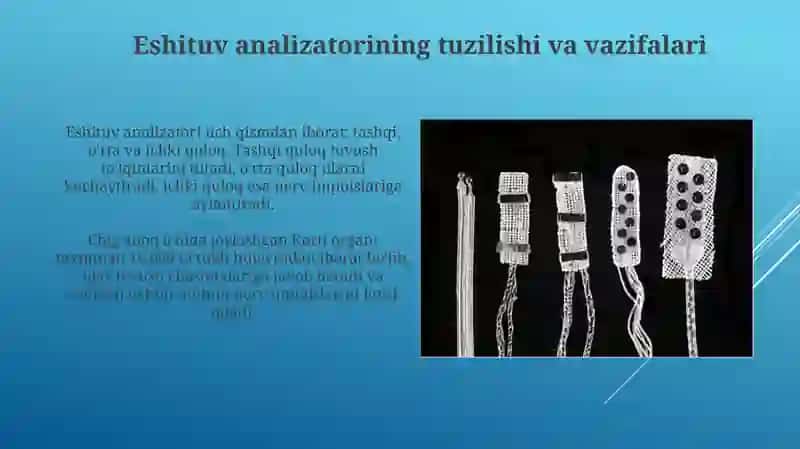 Eshituv va vestibulyar analizatorlar fiziologiyasi 3