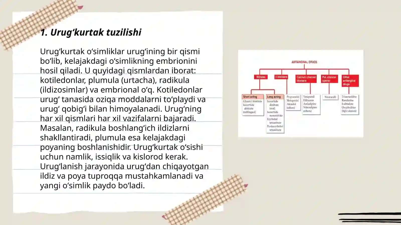 Urugʻkurtak tiplari va klassifikatsiyasiyalash 3