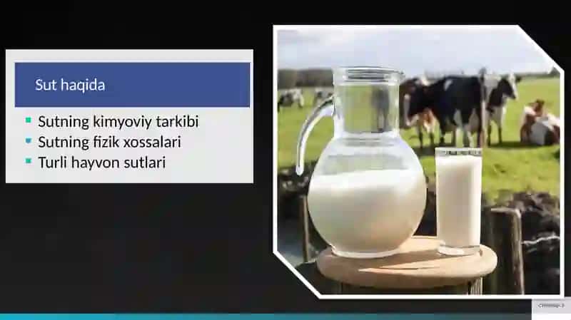 Sut va sut mahsulotlari 3