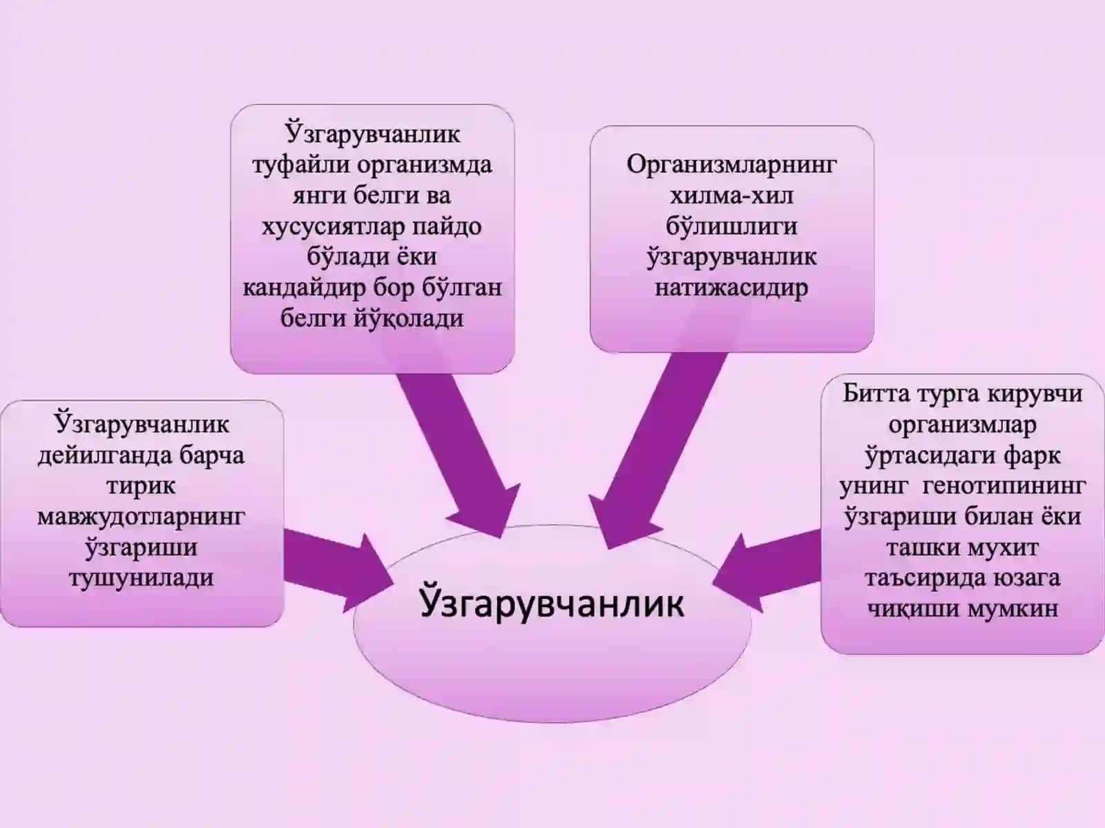 Ўзгарувчанлик. Атроф муҳит ифлосланишининг ирсиятга таъсири 3