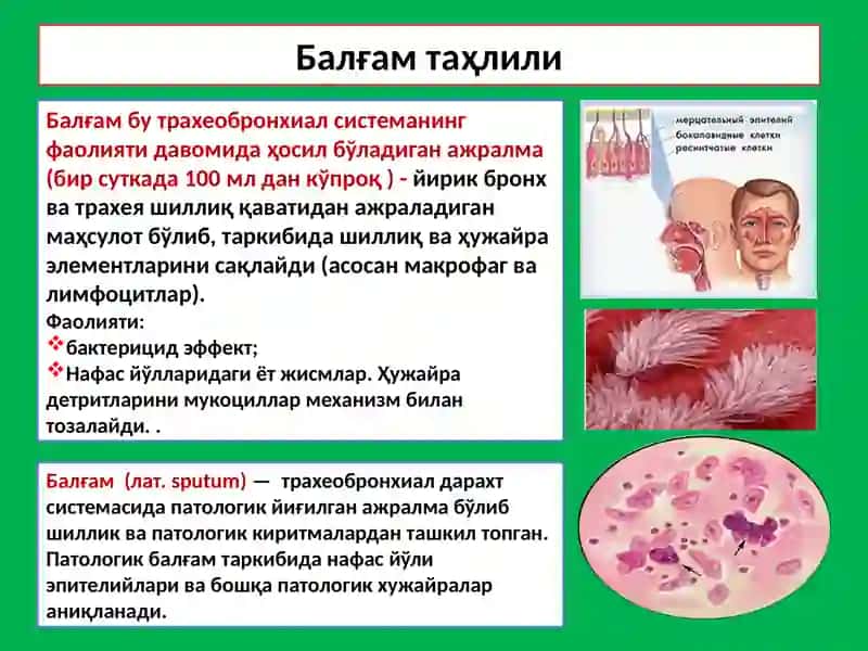 Balg‘am va plevra suyuqligini laborator tekshirish. 3