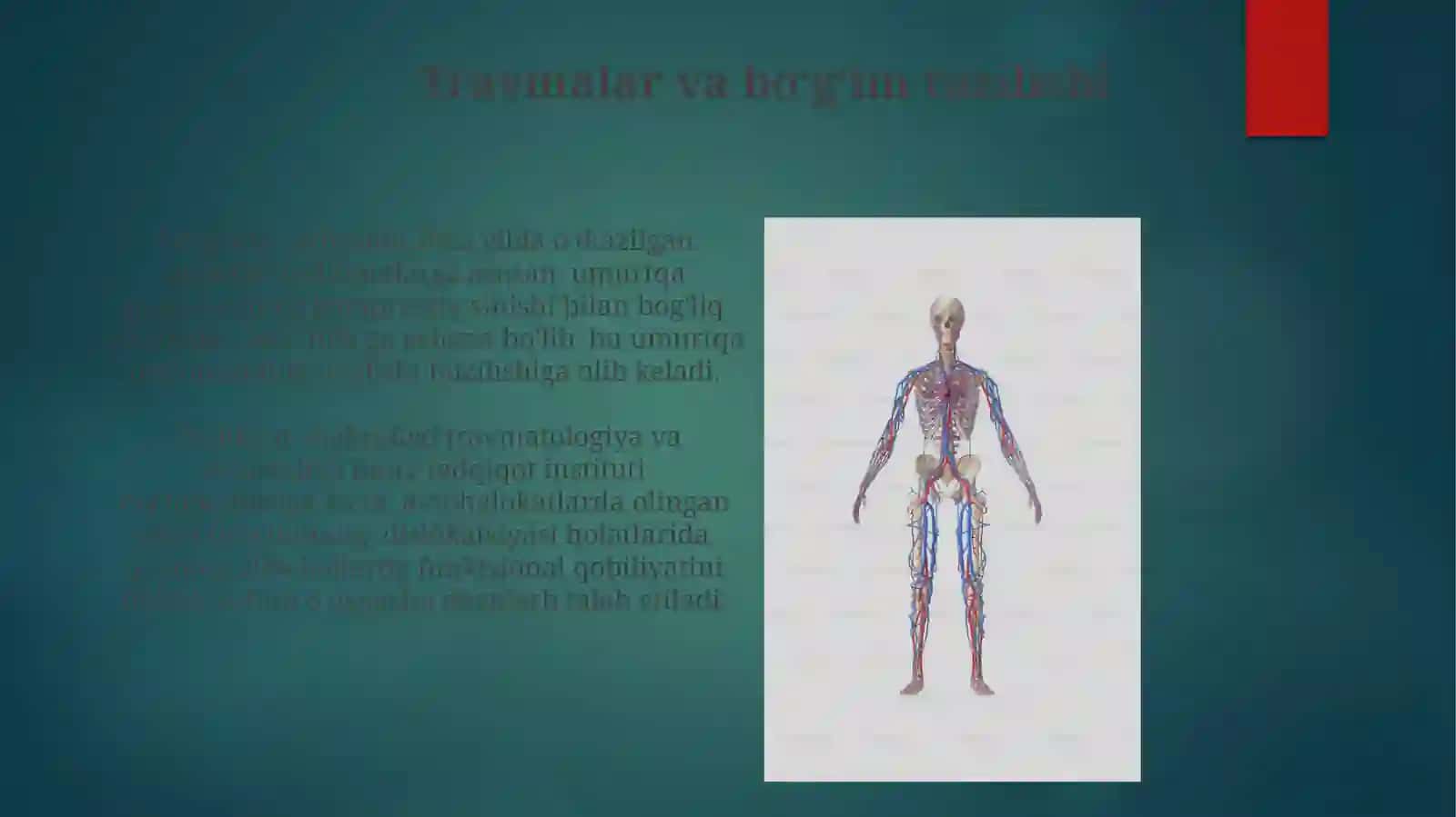 Travmalar va boʻgʻim tuzilishi 3