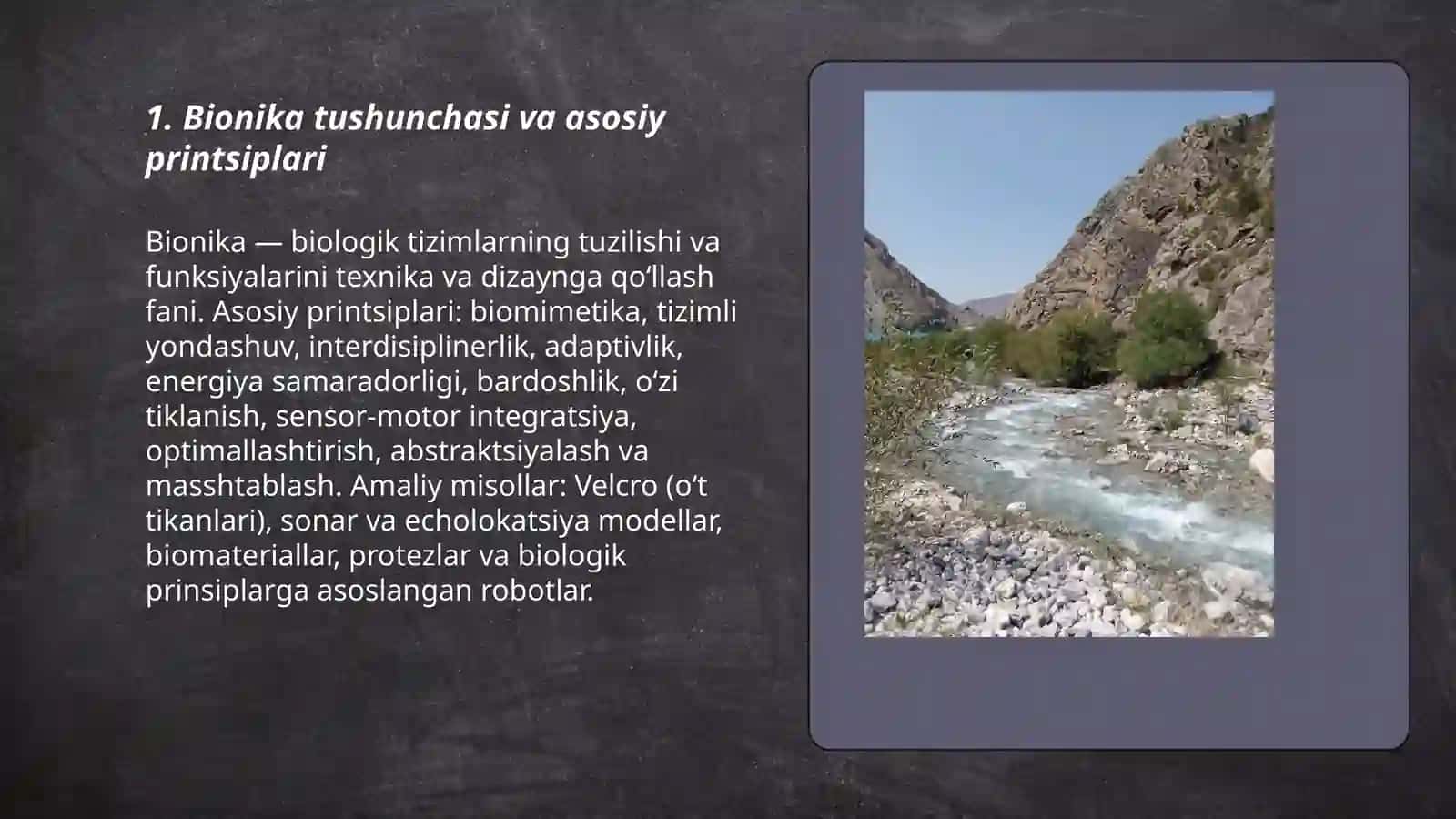 Bionika asoslari va uni inson hayotidagi o'rni 3