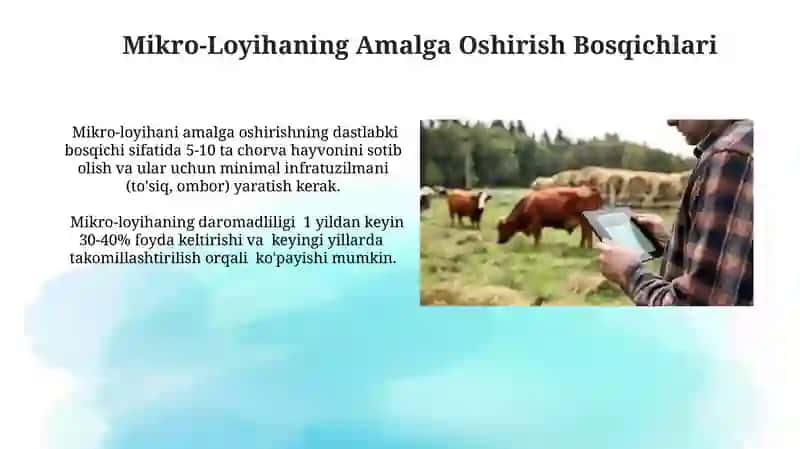 Chorvachilikni rivojlantirish orqali mikroloyiha uaratish 3