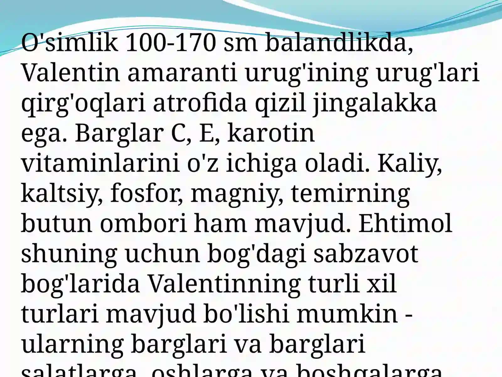 Amarant o’simligi dorivorlik xususiyatlar va bioekologiyasi 3