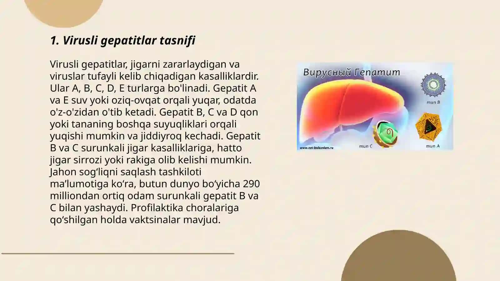Enteral virusli gepatitlar.Gepatit A va gepatit E kasalliklarida infeksion nazorat prinsplari 3