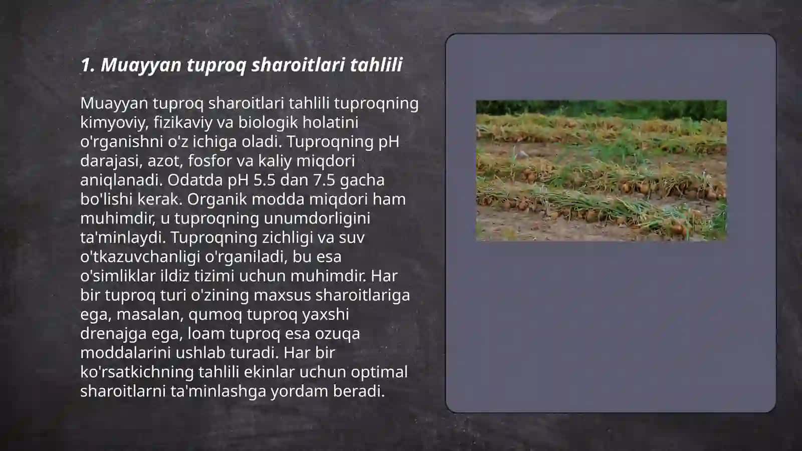 Muayyan tuproq sharoitida sabzavot ekinlari yetishtirishda ekin sxemalarini va koʻchat sonini aniqlash 3