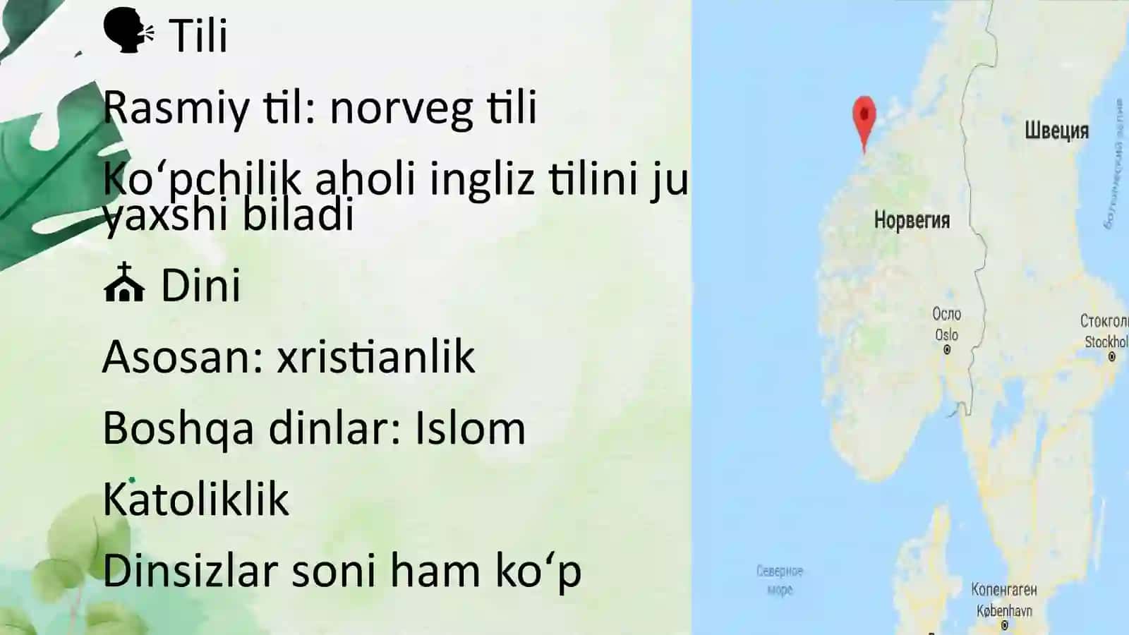 Oilalarni ijtimoiy himoya qilishning Norvegiya davlati tajribasi 3