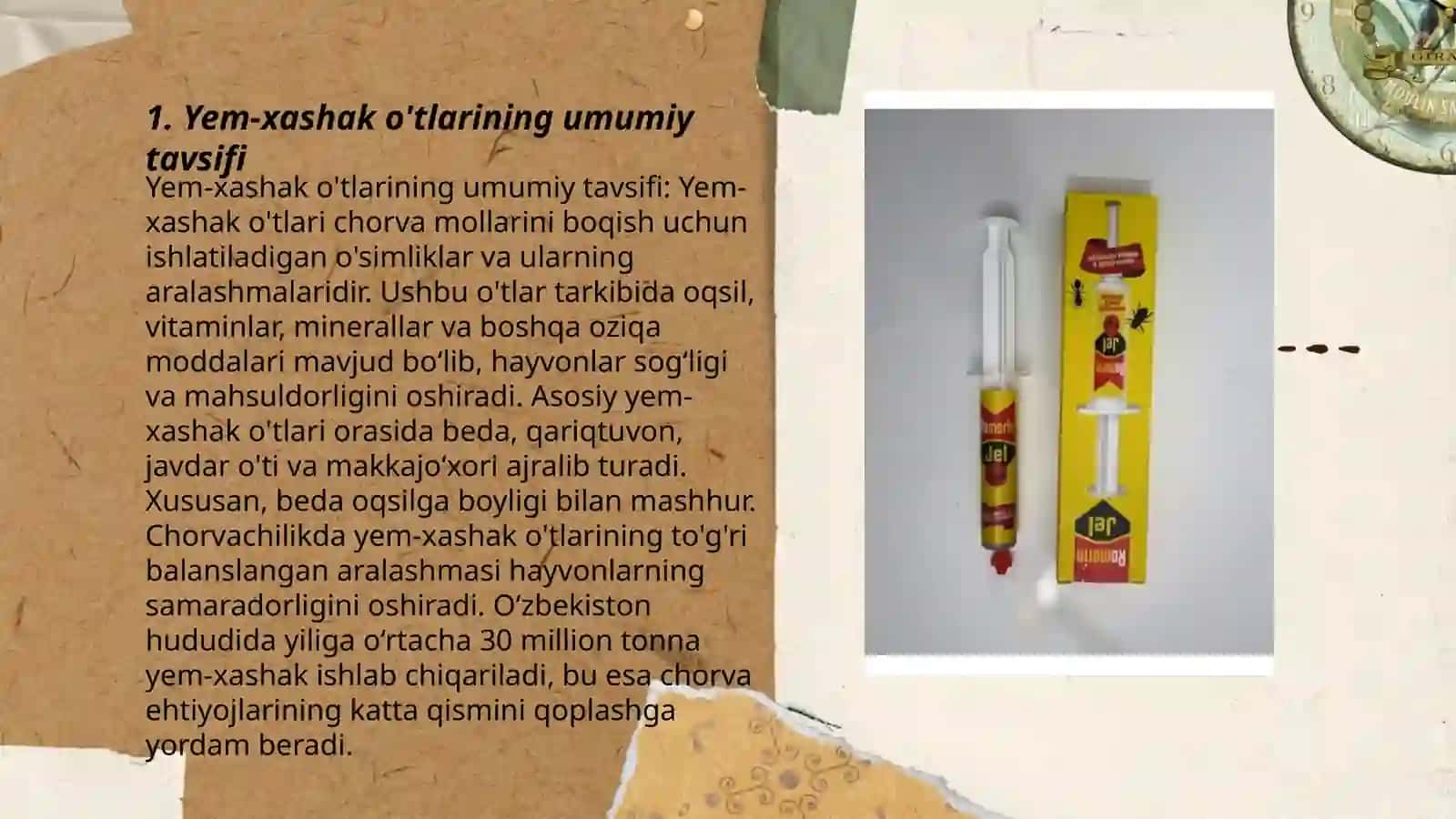 Yem-xashak o'tlarning tavsifi dukkakli yem xashak ekinlar axamiyati 3