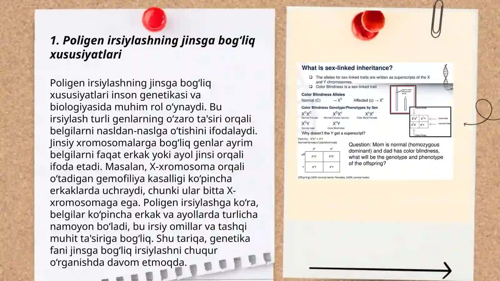 Poligen irsiylashning jinsga bog‘liq xususiyatlari 3