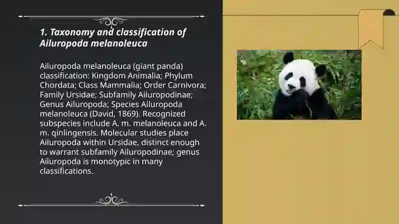 Ailuropoda melanoleuca (Yo'qolib ketayotgan katta oq ayiq) 3