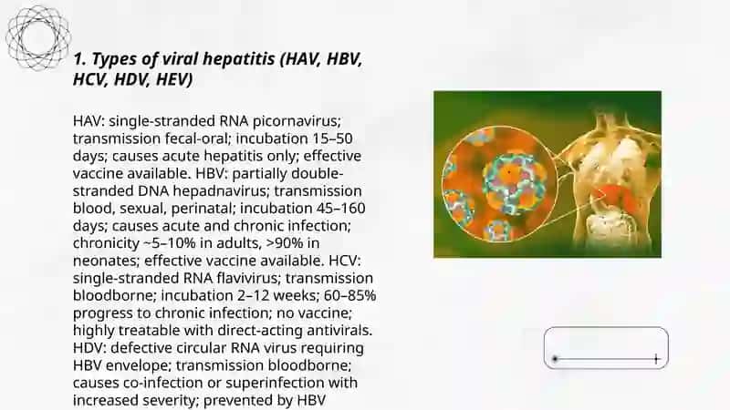 Viral hepatitis 3
