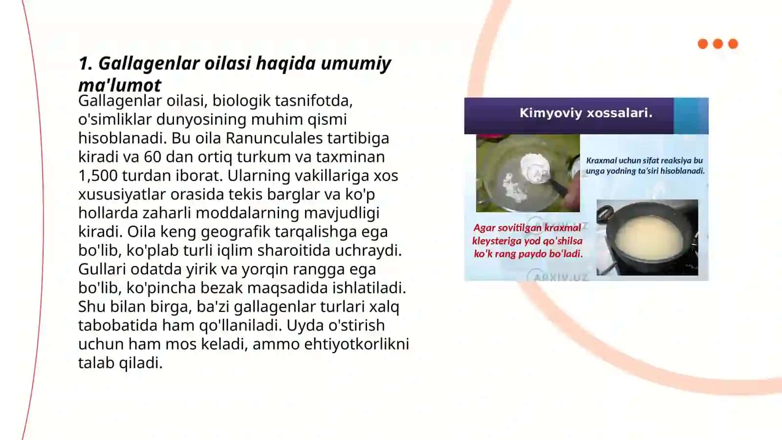 Gallagenlar oilasi haqida umumiy ma'lumot 3