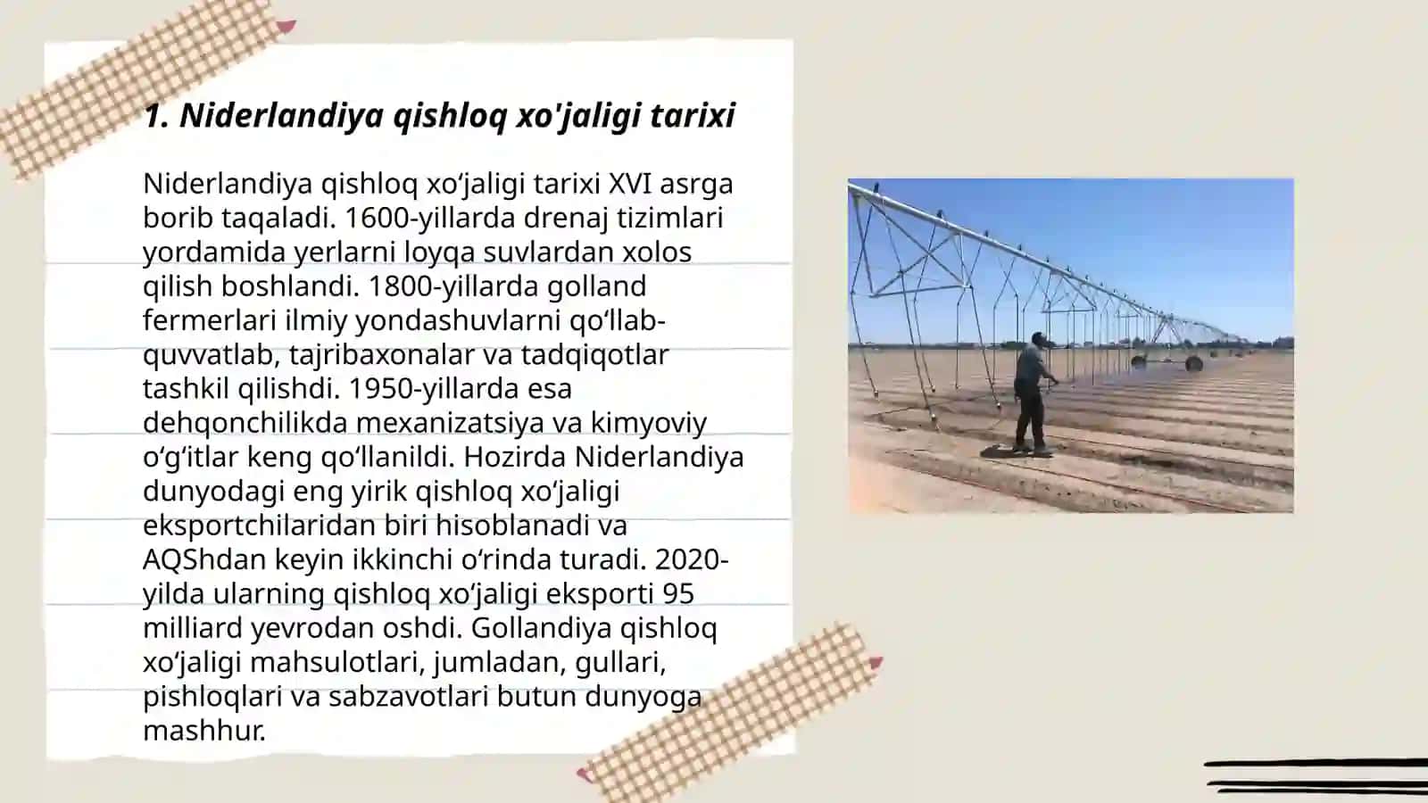 Niderlandiya qishloq xo'jaligi 3