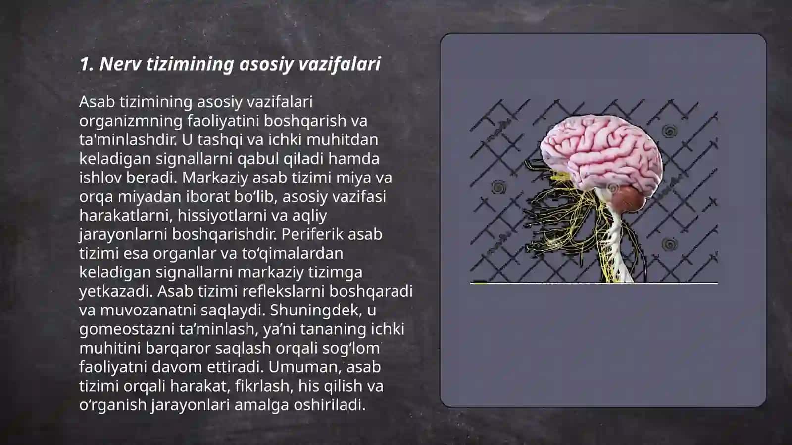 Nerv sistemasining ahamiyati va gigiyenasi 3