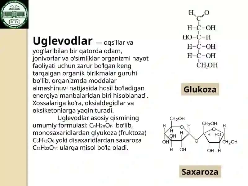 Uglevodlar almashinuvi 3