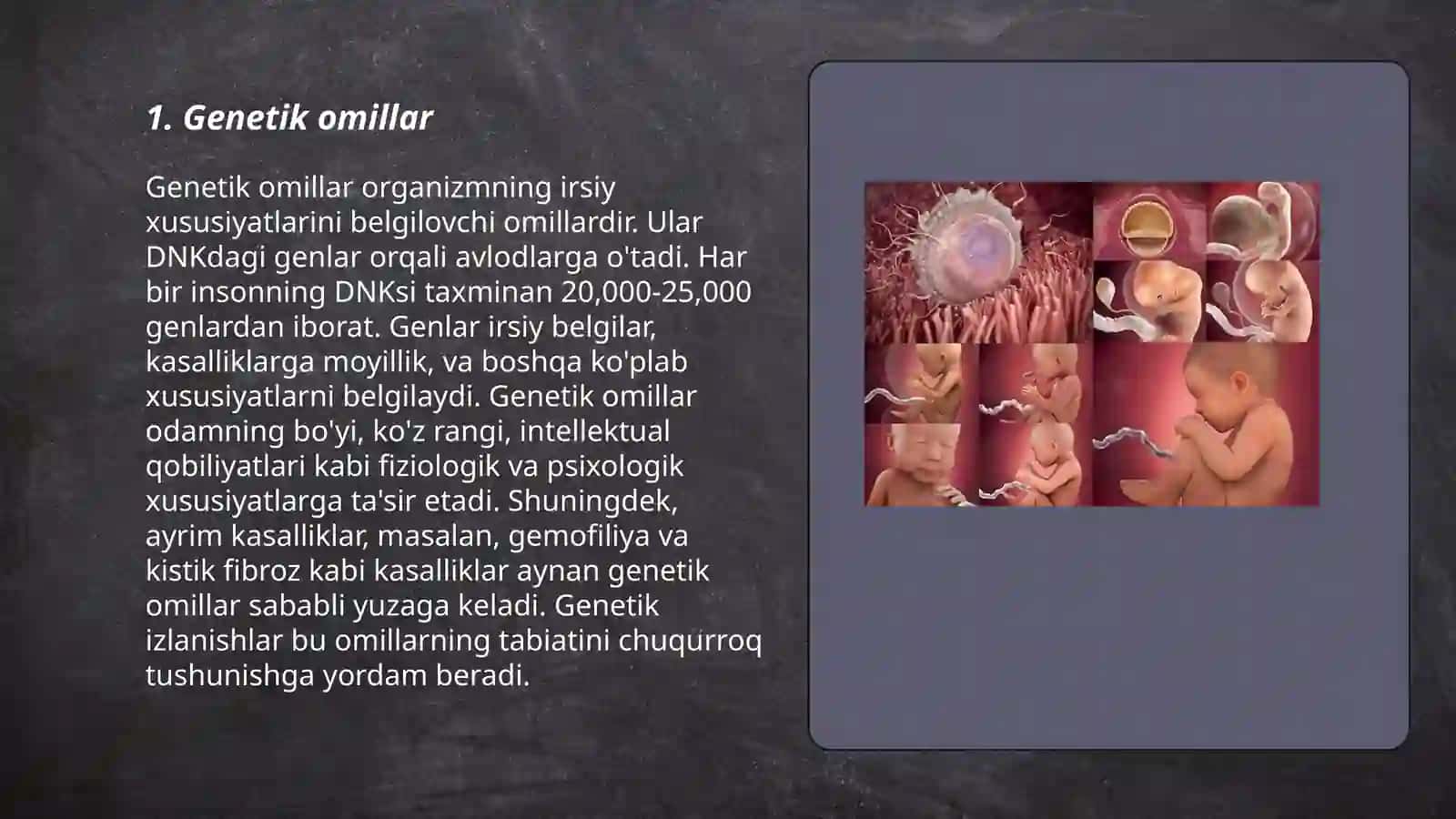 Genetik omillar 3
