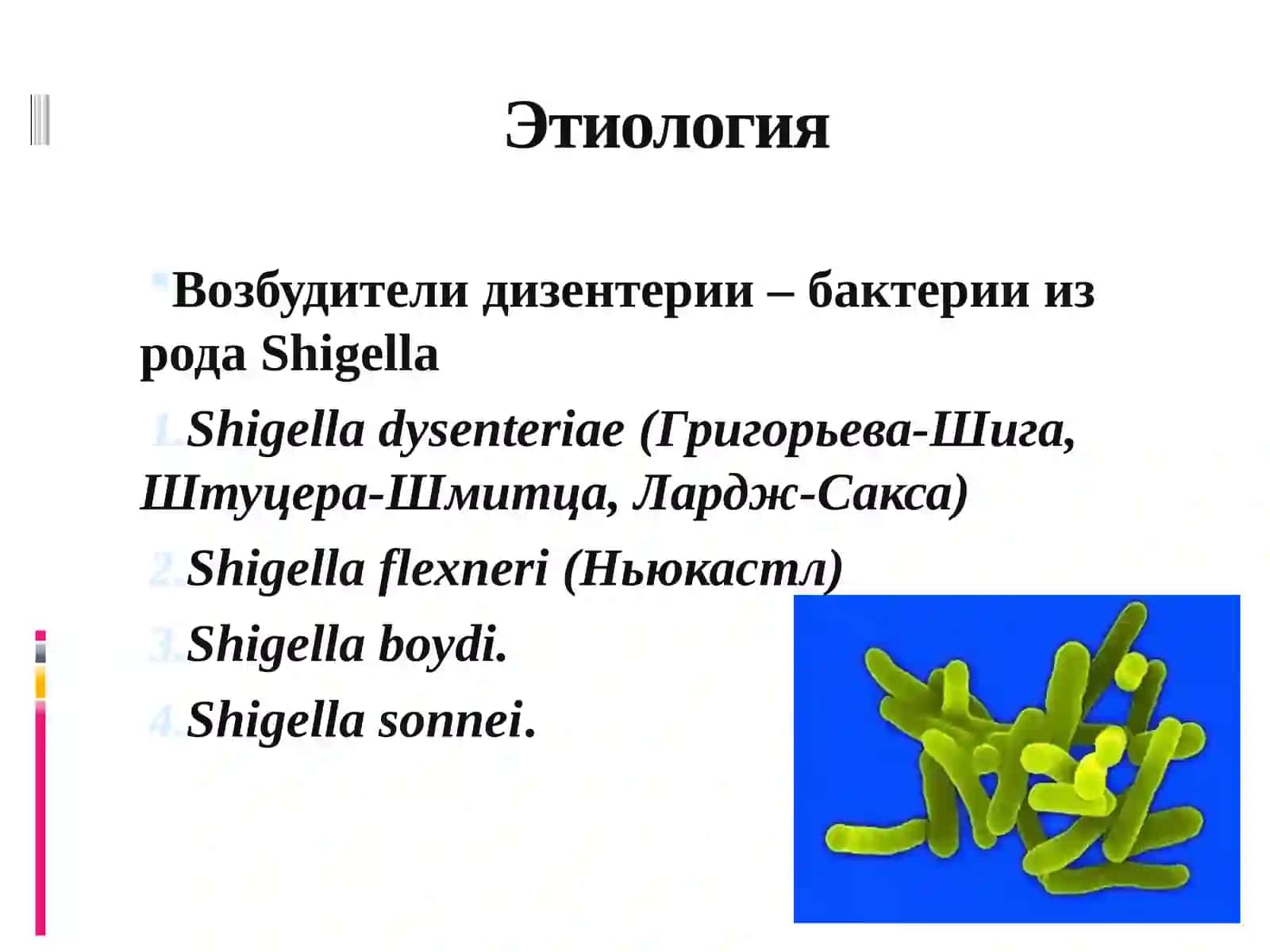 ШИГЕЛЛЁЗ 3