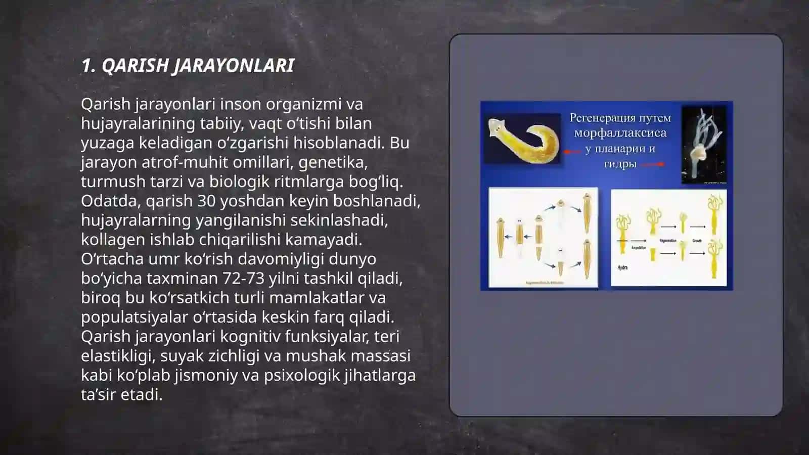 QARISH NAZARIYASI. REGENERATSIYA. GAMEOSTAZ. TRANSPLANTATSIYA 3