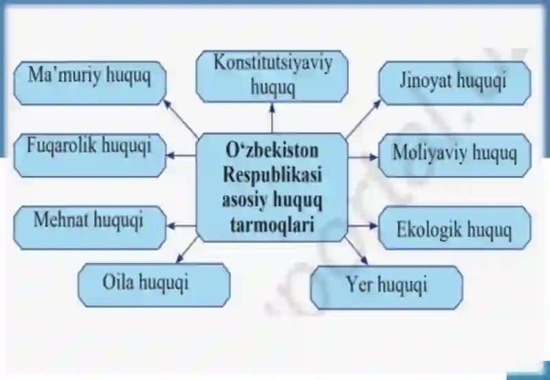 HUQUQIY ONGNING TURLARI VA DARAJALARI 3
