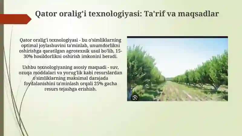 Qator oralig'i texnologiyasi 3