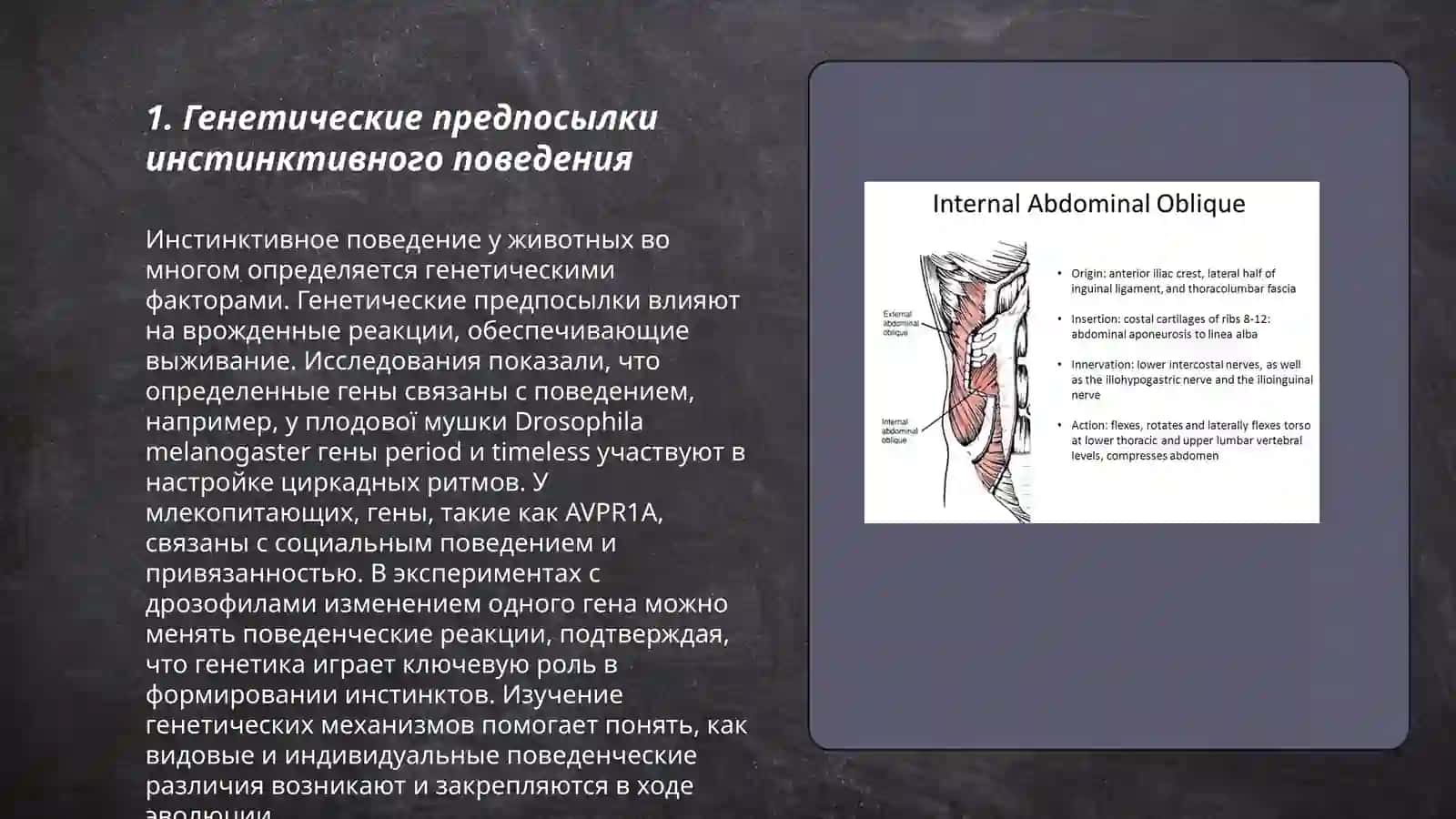 Генетические предпосылки инстинктивного поведения 3