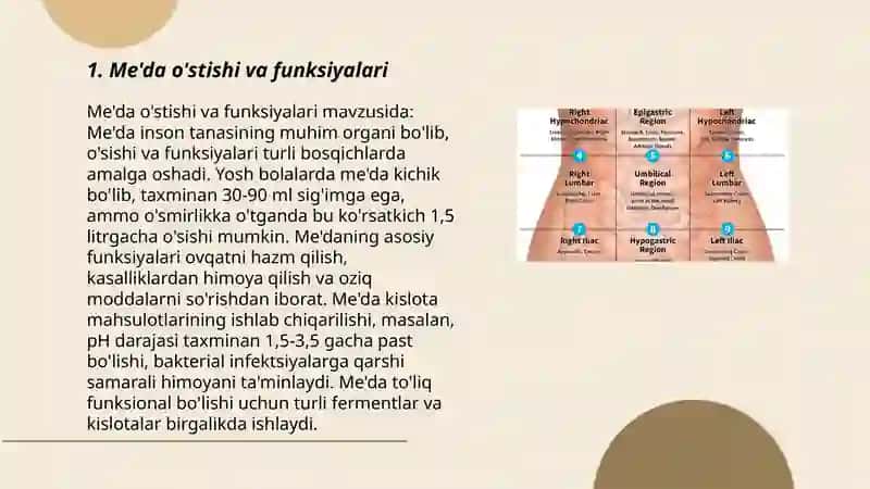 Me'da osti va buyrak usti bezlar fiziologiyasi 3